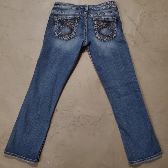 Size 26 Silver Capri - Picture 6 of 6